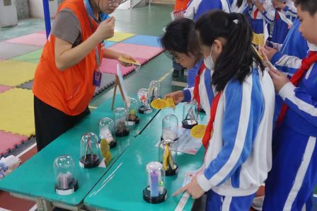禁毒游园，护航成长 ——罗湖小学开展四年级禁毒知识趣味游园活动