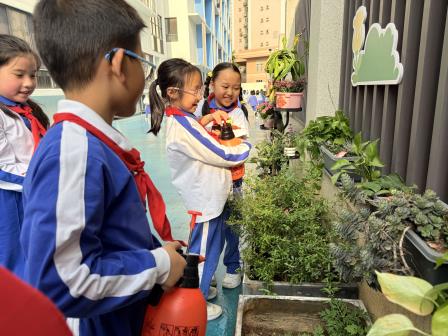 “浇个朋友”——深圳市锦田教育集团锦田小学开展社工宣传周劳动乐园暖心主题活动
