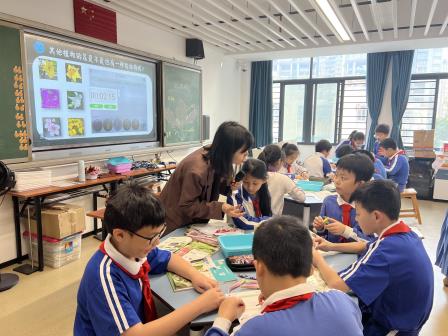 破茧启新程视导促成长——罗湖教科院“破茧”行动走进布心小学
