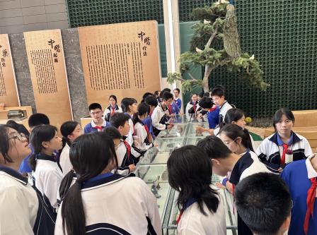 “亦师亦友共成长”系列活动之行走的思政课——深北莫附属布心中学开展中医药文化红色研学活动