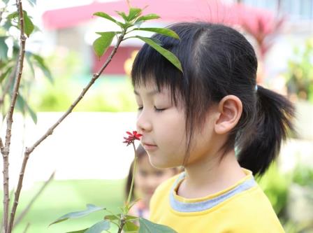 春色满园趣盎然，教育沁润正当时——深圳市罗湖区托幼中心春日时光纪实