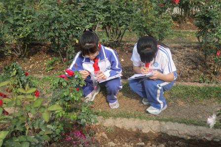 邂逅月季探自然 AI作诗乐成长——深圳市人民小学举行“每周半天计划”研学活动
