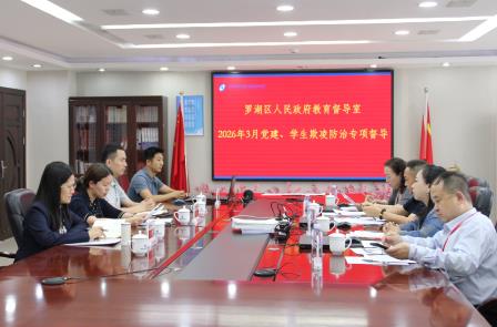 精准督导促发展 凝心聚力启新程 ——罗外初中开展党建与学生欺凌防治专项督导