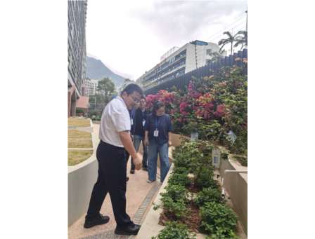  罗湖区中医院专家莅临罗湖外语小学指导中草药种植基地