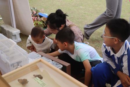 罗湖外语小学参展2026大湾区自然教育嘉年华