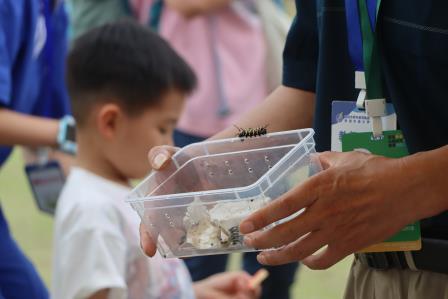 罗湖外语小学参展2026大湾区自然教育嘉年华