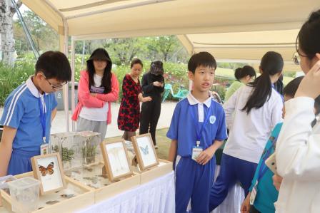 罗湖外语小学参展2026大湾区自然教育嘉年华