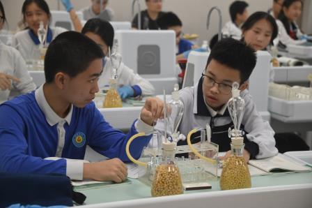 专业引领明方向，精准视导促提升 ——桂园中学迎接区教科院新教师过关考核暨教育教学常规视导