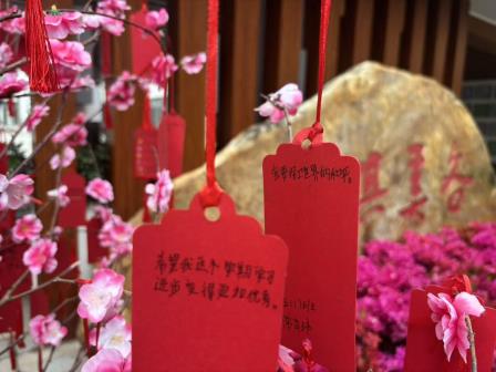 不负春光，向阳生长——翠茵学校开学季温暖启航