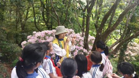 观花绘春识自然，童心执笔赞春光——大望学校师生赴梧桐山开展“高山仰止”系列课程