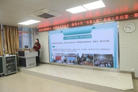 党建引领传薪火 青蓝结对育新秀——新秀小学“青蓝工程”育苗工作坊第一期沙龙活动圆满举行