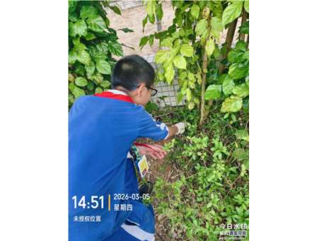传承雷锋精神，守护绿水青山 ——华英学校开展“梧桐山净山”志愿服务活动