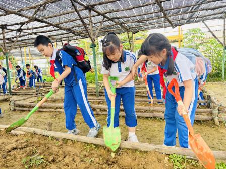 走出课堂沐春光 动手实践觅真知——景园实验小学赴智创田园开展春季社会实践活动