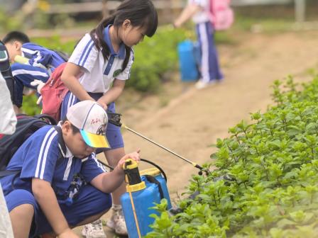 走出课堂沐春光 动手实践觅真知——景园实验小学赴智创田园开展春季社会实践活动