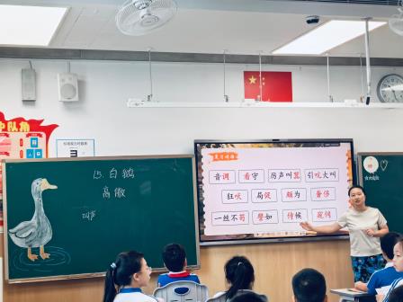  罗湖外语小学“纯真杯”新质课堂教学研讨活动第八周精彩延续
