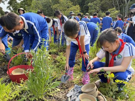 落实每周半天实践计划，春生农耕育见成长——洪湖小学“知行四季”春季实践课程圆满收官