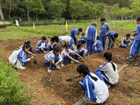 落实每周半天实践计划，春生农耕育见成长——洪湖小学“知行四季”春季实践课程圆满收官