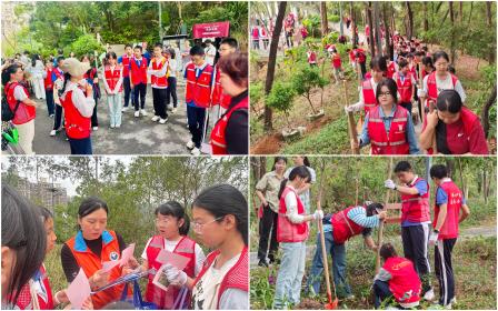 植绿护绿，青春同行  —— 深圳北理莫斯科大学附属布心中学联合翠湖社区开展生态实践活动