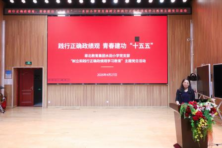 树牢正确政绩观，青春建功 “十五五”——水田小学党支部开展主题党日活动