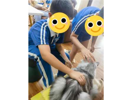 愈见萌宠，治愈心灵 —— 深圳市仙桐实验小学动物辅助疗法活动暖心回顾