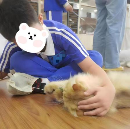 愈见萌宠，治愈心灵 —— 深圳市仙桐实验小学动物辅助疗法活动暖心回顾