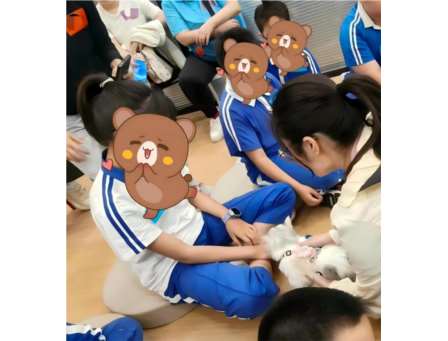 愈见萌宠，治愈心灵 —— 深圳市仙桐实验小学动物辅助疗法活动暖心回顾