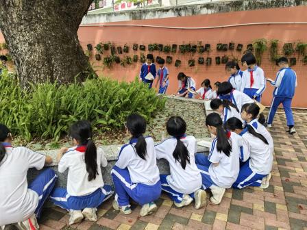 春探梧桐蕴雅韵  语润童心向美行 —— 梧桐小学2026年“春天，探寻大美梧桐”语文专项活动圆满开展