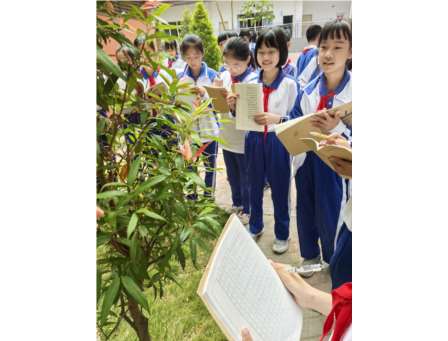 春探梧桐蕴雅韵  语润童心向美行 —— 梧桐小学2026年“春天，探寻大美梧桐”语文专项活动圆满开展