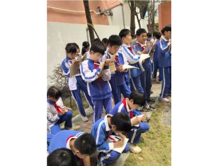 春探梧桐蕴雅韵  语润童心向美行 —— 梧桐小学2026年“春天，探寻大美梧桐”语文专项活动圆满开展