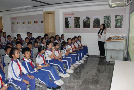  茶韵润童心 雅育传文脉 ——南湖小学“每周半天计划”走进粤港澳青少年爱国主义教育基地