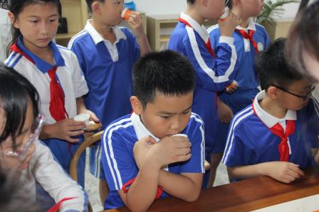  茶韵润童心 雅育传文脉 ——南湖小学“每周半天计划”走进粤港澳青少年爱国主义教育基地