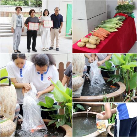 躬耕砺成长 劳动育新人 ——深北莫附属布心中学“励才劳动实践基地”开耕活动顺利举行