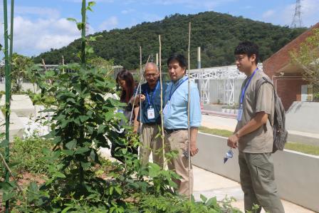 罗湖外语小学迎来香港蝴蝶保育专家团共探生态蝶育校园建设