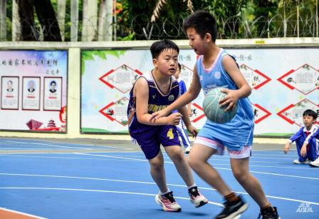 热血逐梦，篮不住少年风采——景园实验小学第三届班级篮球联赛圆满启幕