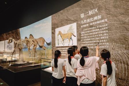 穿越三千万年时光 探秘远古生命史诗｜华美外国语学校研学走进深圳美术馆「化石王国・生命史诗」特展