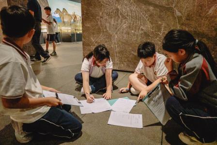 穿越三千万年时光 探秘远古生命史诗｜华美外国语学校研学走进深圳美术馆「化石王国・生命史诗」特展