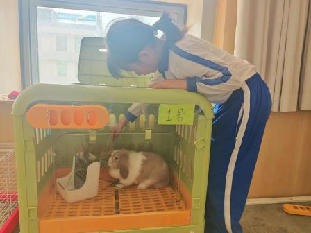罗湖外语小学开展“525”心理健康周系列活动
