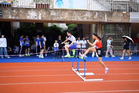 驰骋区省赛场 彰显体育精神 —— 人民小学田径队系列赛事捷报频传