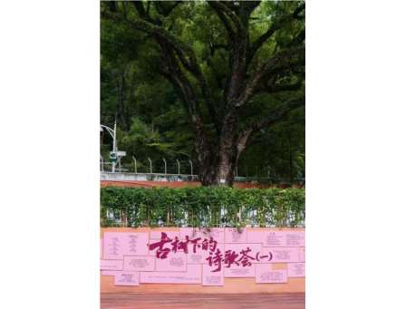 鲁迅文学奖得主杨晓民为梧桐小学赋诗，朗诵名家林登登深情献声