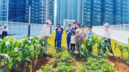 五一耕植伴成长 亲子携手绘新绿 ——罗湖区东晓实验学校楼顶亲子种植活动