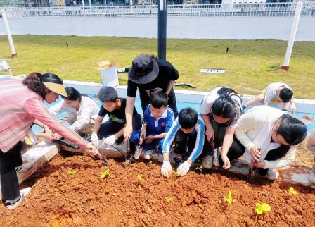 五一耕植伴成长 亲子携手绘新绿 ——罗湖区东晓实验学校楼顶亲子种植活动