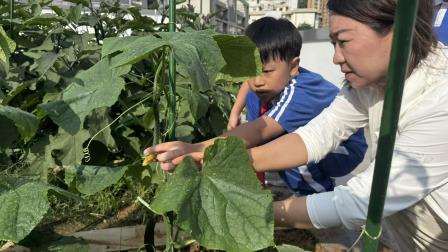 巧手润心 劳动悦美 —— 翠茵学校 2026 年春季劳动综合实践周圆满举行