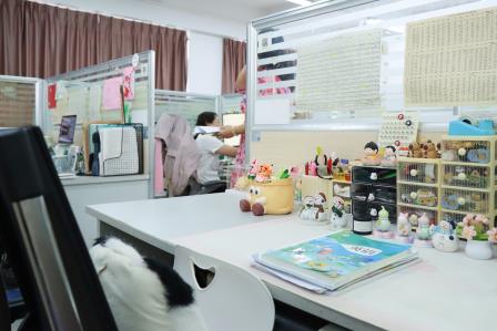一室一风景，安全温馨满文锦——翠园文锦中学办公室风采评比活动圆满落幕