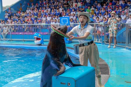遨游蓝色海洋 守望自然之美 —— 翠北实验小学三、四年级开展海洋主题社会实践活动
