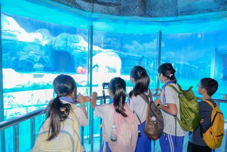 遨游蓝色海洋 守望自然之美 —— 翠北实验小学三、四年级开展海洋主题社会实践活动