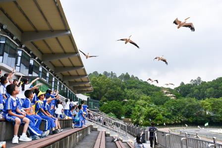 走进野生动物王国，共筑和谐自然梦 ——翠北实验小学一二年级开展动物园研学实践活动