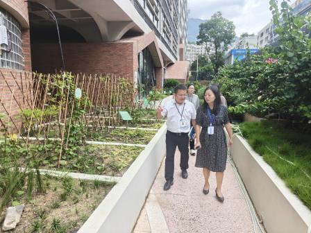 罗湖区发展和改革局副局长吴爱华一行莅临罗湖外语小学调研指导