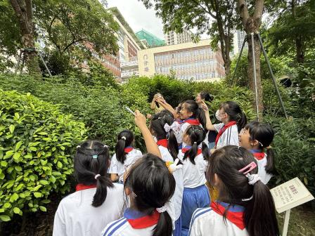 罗湖外语小学走进罗湖区中医院开展“传承国粹经典”中医研学之旅