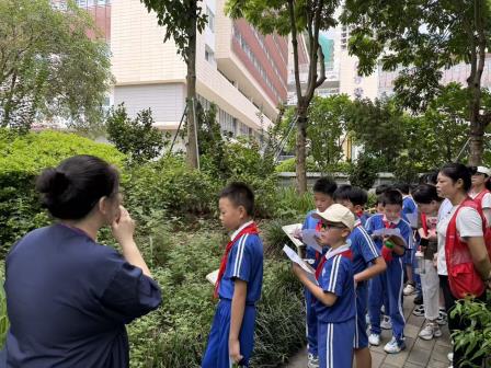 罗湖外语小学走进罗湖区中医院开展“传承国粹经典”中医研学之旅