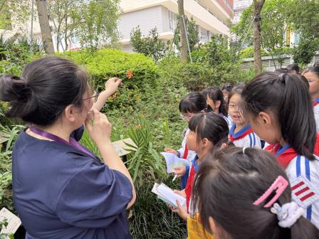 罗湖外语小学走进罗湖区中医院开展“传承国粹经典”中医研学之旅